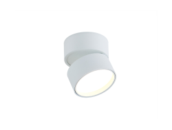 Накладной светодиодный светильник Donolux BLOOM, 12Вт, белый