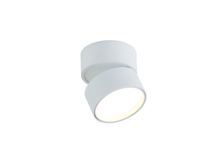 Накладной светодиодный светильник Donolux BLOOM, 12Вт, белый (DL18960R12W1W)