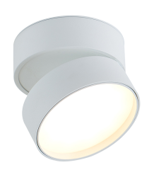 Накладной светодиодный светильник Donolux BLOOM, 18Вт, белый