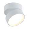Накладной светодиодный светильник Donolux BLOOM, 18Вт, белый