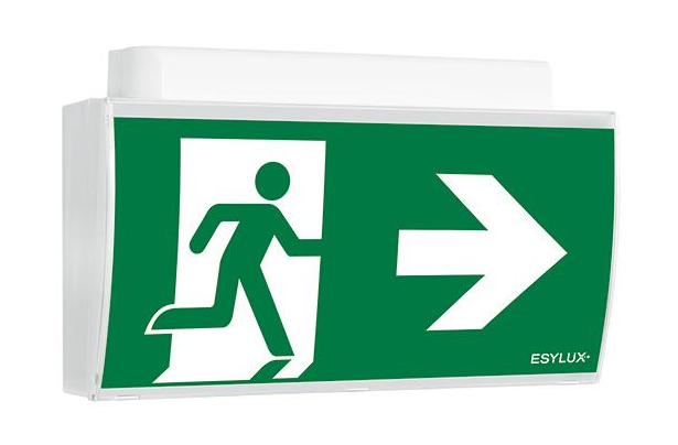Аварийный светильник ESYLUX SLE EL LED 3h/8h 24m IR SC/C WM (EN10061806)