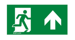 Пиктограмма для аварийных светильников ESYLUX SLX 32 HIGH COVER SYMBOL TOP