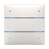Кнопочный сенсор Theben iON 104 KNX (4969234)