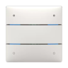 Кнопочный сенсор Theben iON 104 KNX