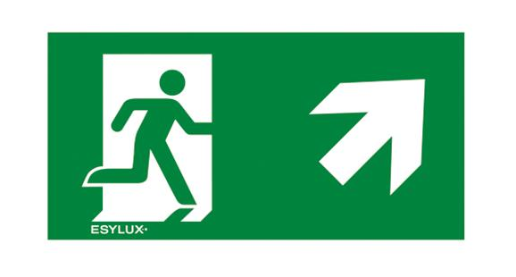 Пиктограмма для аварийных светильников ESYLUX SLX 32 HIGH COVER SYMBOL TOP RIGHT (EN10077692)