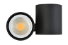Накладной/поворотный алюминиевый светильник Donolux EVA, черный (A1594Black/RAL9005)