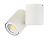 Накладной/поворотный алюминиевый светильник Donolux EVA, белый (A1594White/RAL9003)